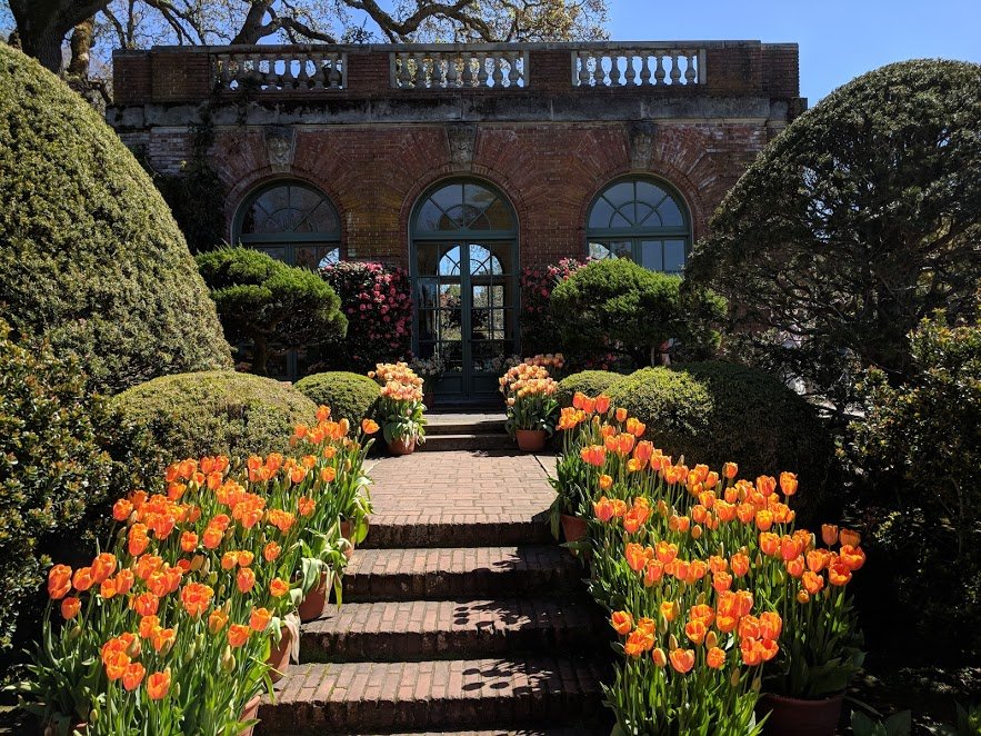 Best-time-to-visit-filoli