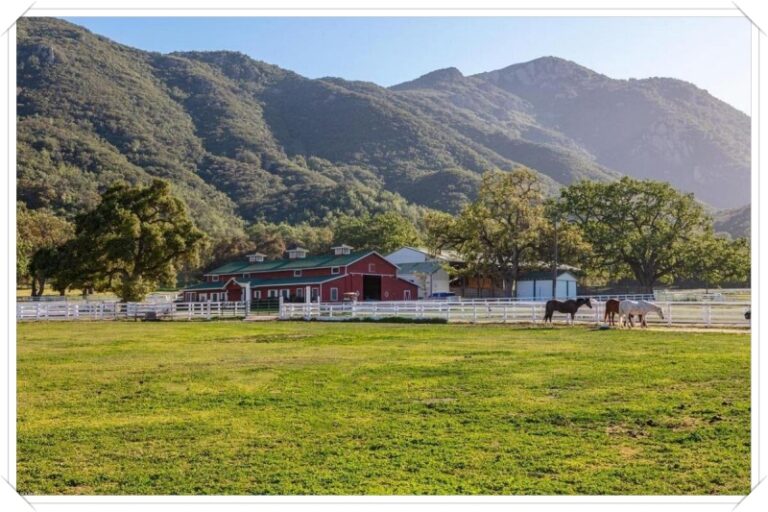 JMJ Ranch 01