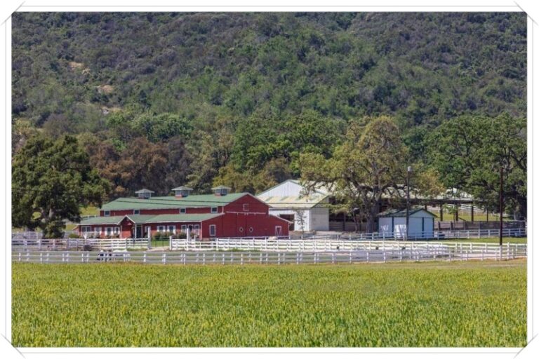 JMJ Ranch 02
