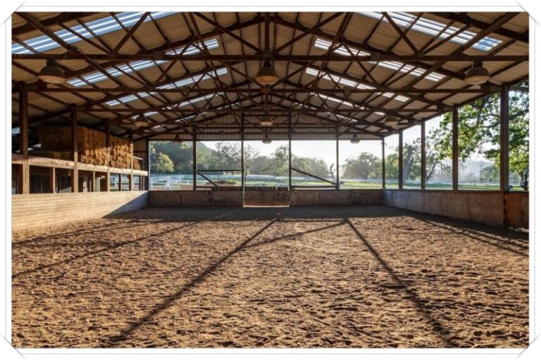 JMJ Ranch 05