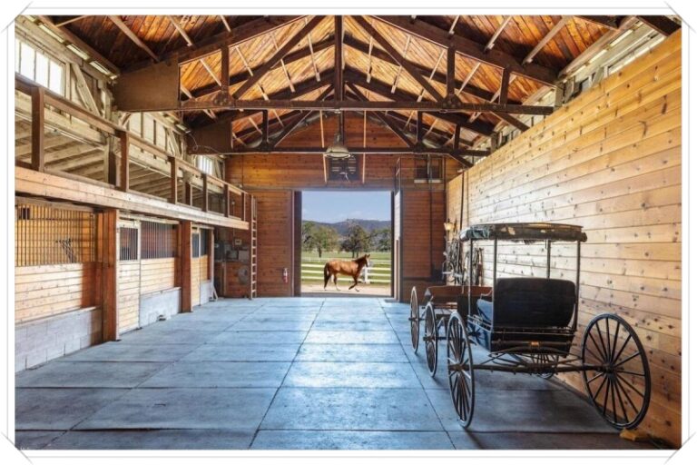 JMJ Ranch 07