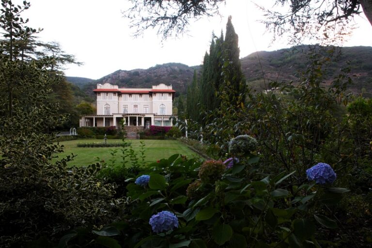 Palmaz Vineyards 01